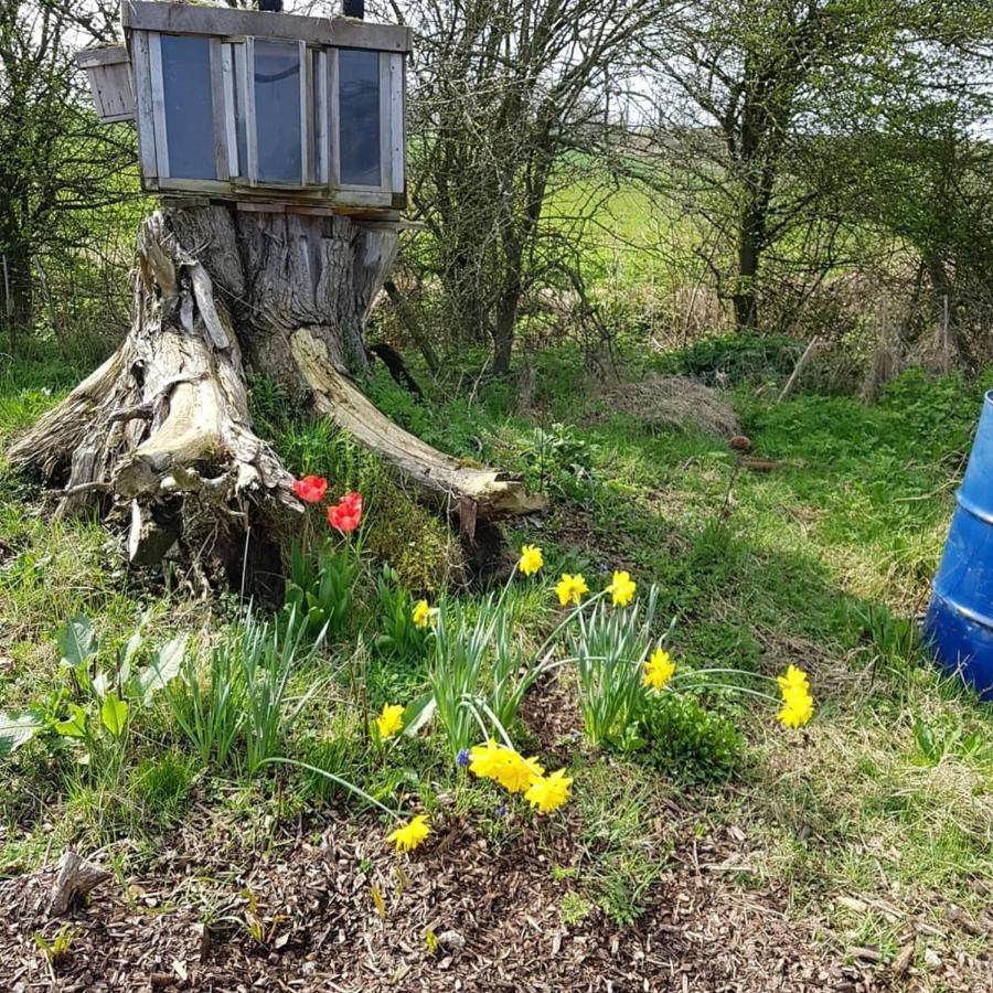 Romantic Escape Luxury Hobbit House With Hot Tub! 希尔内斯 外观 照片